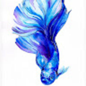 Meet your Posher, Lizzy